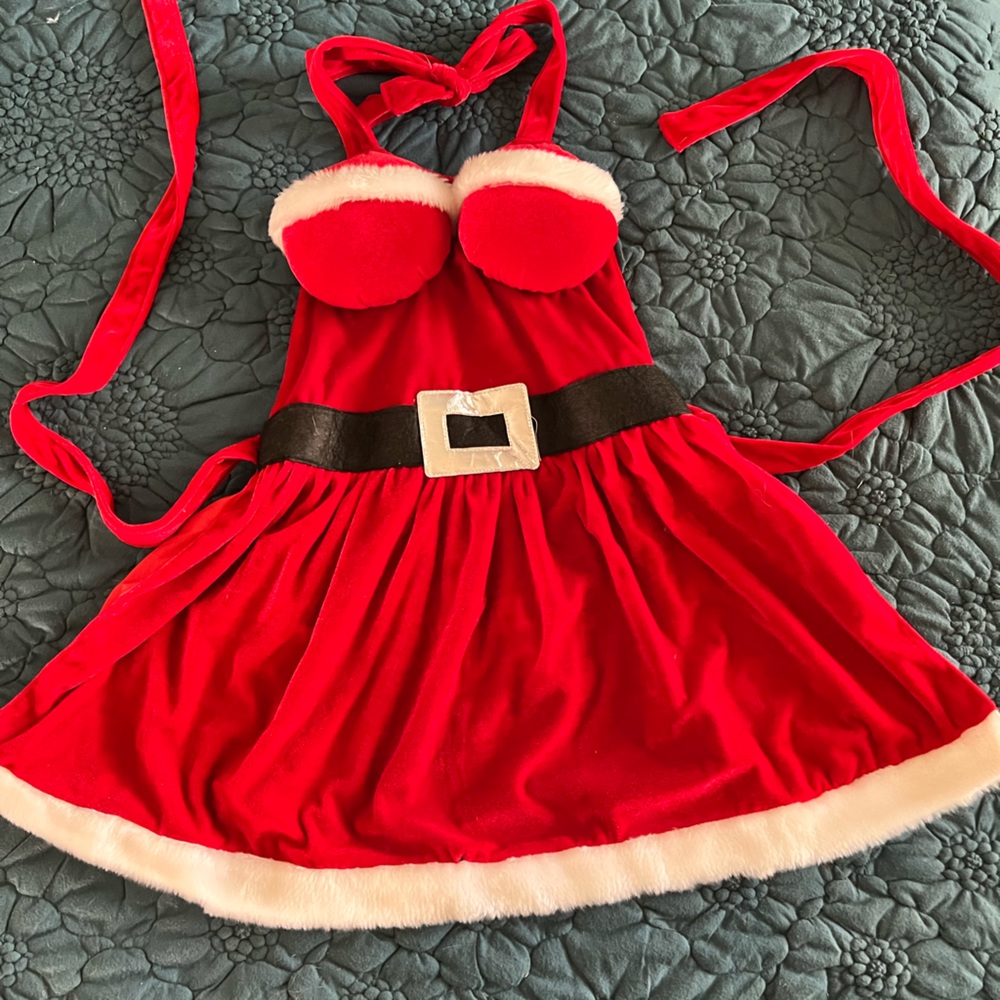 Adorable Santa apron